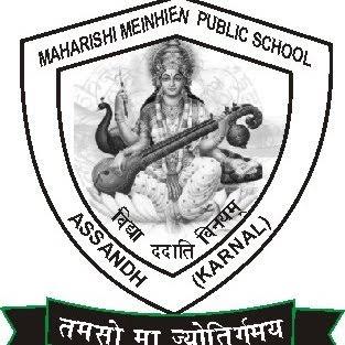 MM Public School Assandh Company logo